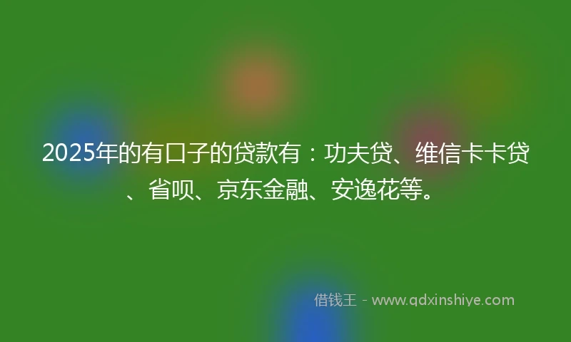 2025年的有口子的贷款有：功夫贷、维信卡卡贷、省呗、京东金融、安逸花等。