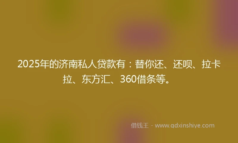 2025年的济南私人贷款有：替你还、还呗、拉卡拉、东方汇、360借条等。