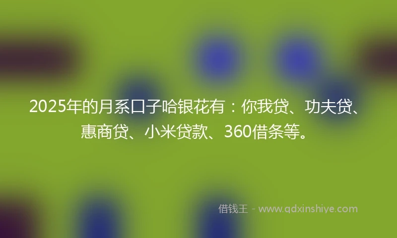 2025年的月系口子哈银花有：你我贷、功夫贷、惠商贷、小米贷款、360借条等。