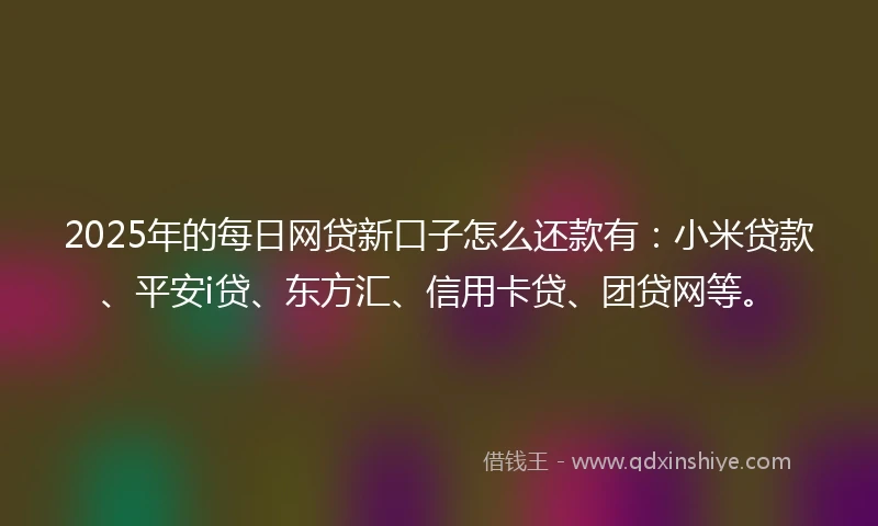 2025年的每日网贷新口子怎么还款有：小米贷款、平安i贷、东方汇、信用卡贷、团贷网等。