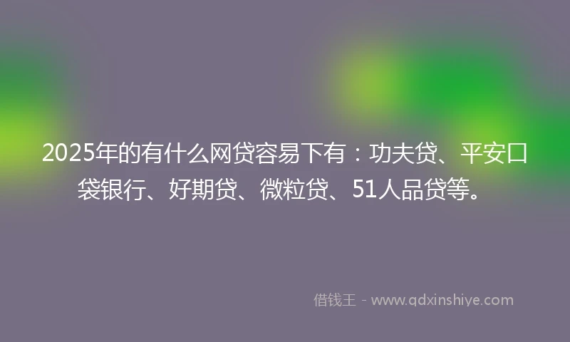 2025年的有什么网贷容易下有：功夫贷、平安口袋银行、好期贷、微粒贷、51人品贷等。