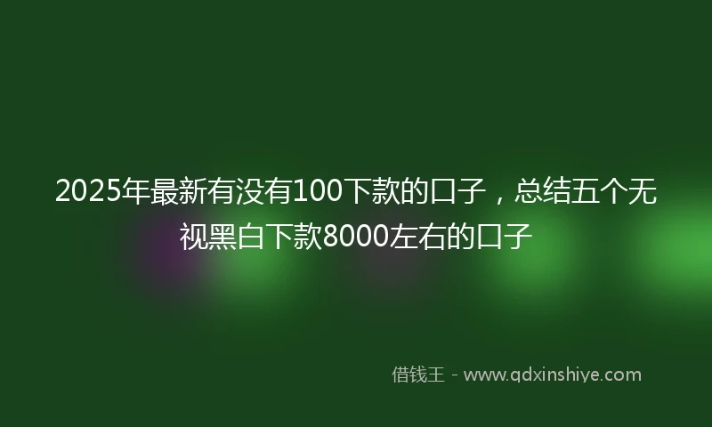 2025年最新有没有100下款的口子，总结五个无视黑白下款8000左右的口子