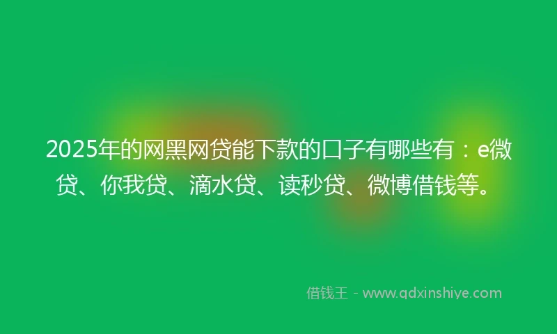 2025年的网黑网贷能下款的口子有哪些有：e微贷、你我贷、滴水贷、读秒贷、微博借钱等。