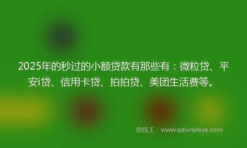 2025年的秒过的小额贷款有那些有：微粒贷、平安i贷、信用卡贷、拍拍贷、美团生活费等。