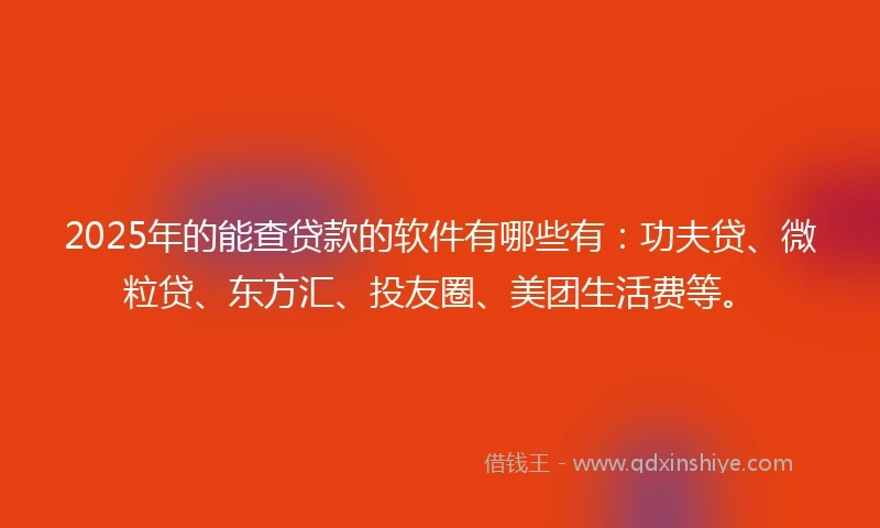 2025年的能查贷款的软件有哪些有：功夫贷、微粒贷、东方汇、投友圈、美团生活费等。