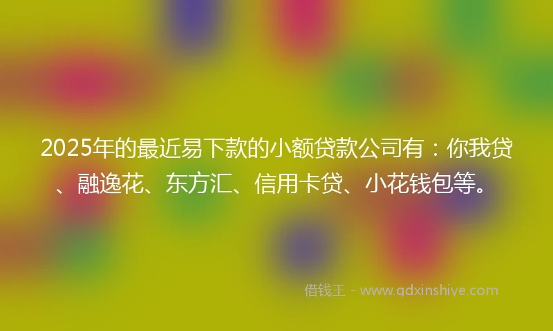 2025年的最近易下款的小额贷款公司有：你我贷、融逸花、东方汇、信用卡贷、小花钱包等。