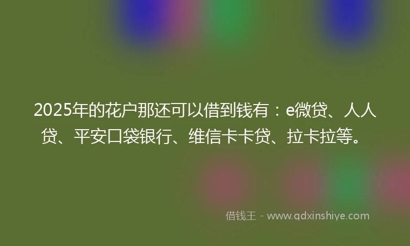 2025年的花户那还可以借到钱有：e微贷、人人贷、平安口袋银行、维信卡卡贷、拉卡拉等。