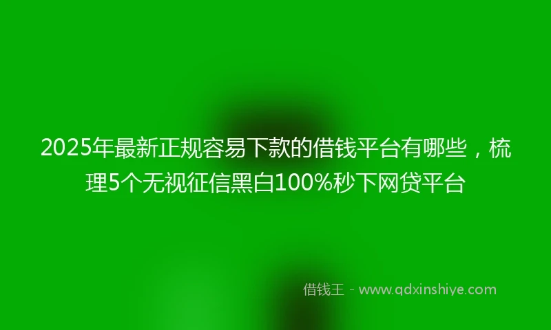 2025年最新正规容易下款的借钱平台有哪些，梳理5个无视征信黑白100%秒下网贷平台