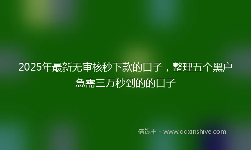 2025年最新无审核秒下款的口子，整理五个黑户急需三万秒到的的口子
