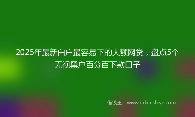 2025年最新白户最容易下的大额网贷，盘点5个无视黑户百分百下款口子