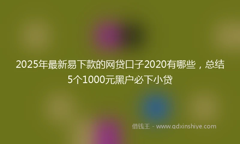 2025年最新易下款的网贷口子2020有哪些，总结5个1000元黑户必下小贷