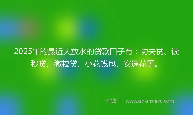 2025年的最近大放水的贷款口子有：功夫贷、读秒贷、微粒贷、小花钱包、安逸花等。