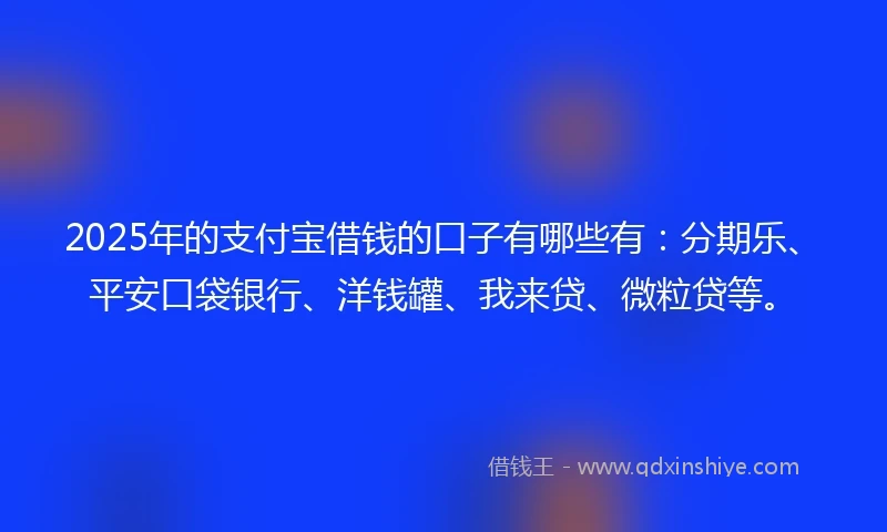 2025年的支付宝借钱的口子有哪些有：分期乐、平安口袋银行、洋钱罐、我来贷、微粒贷等。