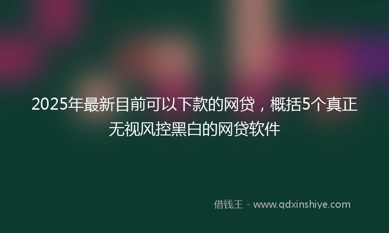 2025年最新目前可以下款的网贷，概括5个真正无视风控黑白的网贷软件