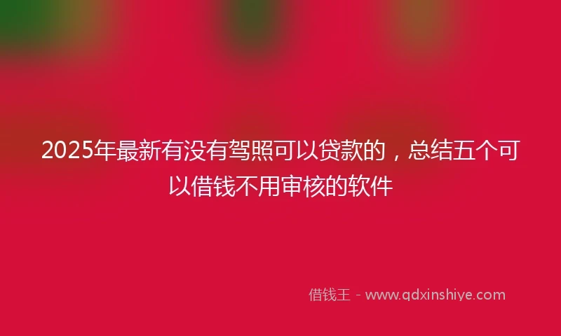 2025年最新有没有驾照可以贷款的，总结五个可以借钱不用审核的软件