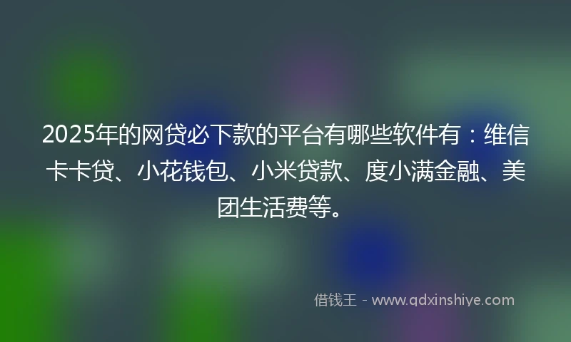 2025年的网贷必下款的平台有哪些软件有：维信卡卡贷、小花钱包、小米贷款、度小满金融、美团生活费等。