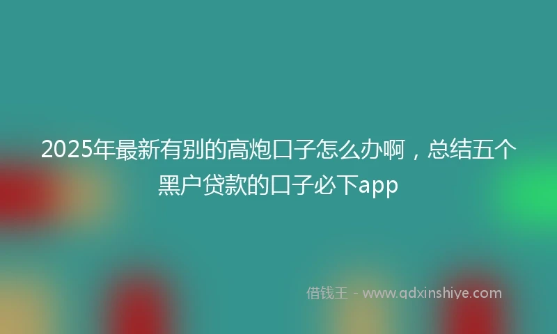 2025年最新有别的高炮口子怎么办啊，总结五个黑户贷款的口子必下app