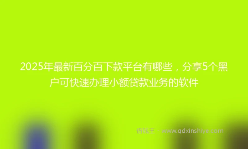 2025年最新百分百下款平台有哪些，分享5个黑户可快速办理小额贷款业务的软件
