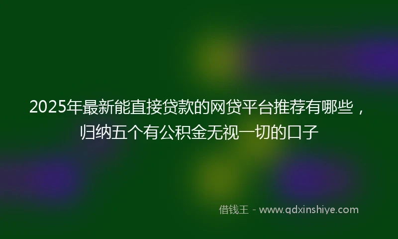 2025年最新能直接贷款的网贷平台推荐有哪些，归纳五个有公积金无视一切的口子