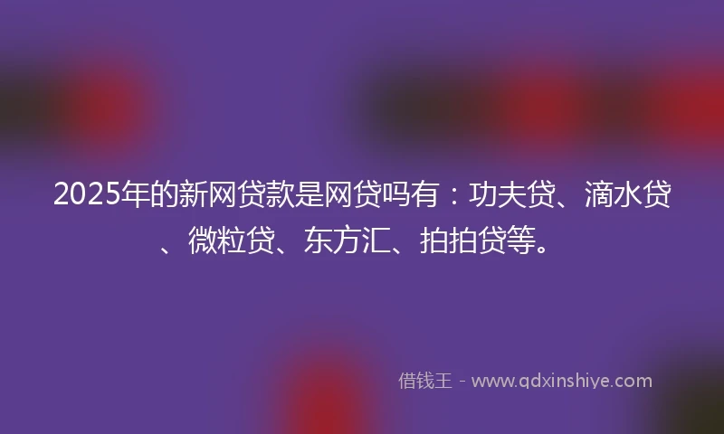 2025年的新网贷款是网贷吗有：功夫贷、滴水贷、微粒贷、东方汇、拍拍贷等。