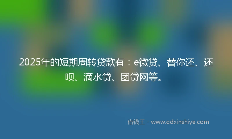2025年的短期周转贷款有：e微贷、替你还、还呗、滴水贷、团贷网等。