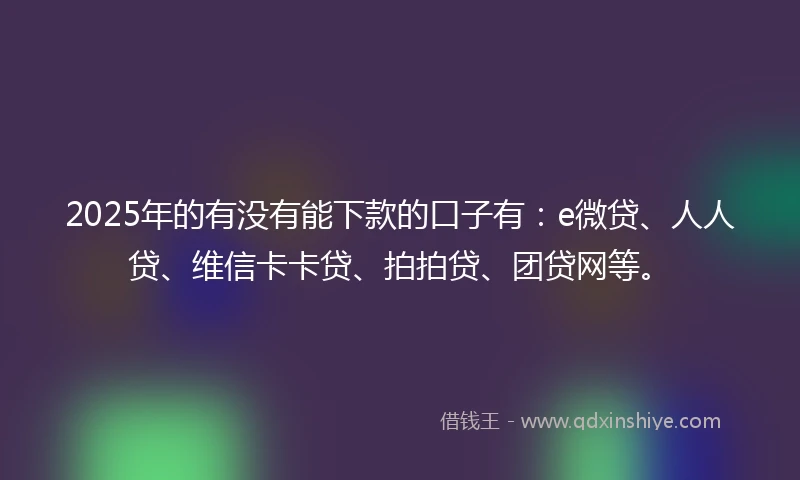 2025年的有没有能下款的口子有：e微贷、人人贷、维信卡卡贷、拍拍贷、团贷网等。