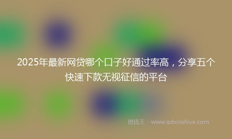 2025年最新网贷哪个口子好通过率高，分享五个快速下款无视征信的平台