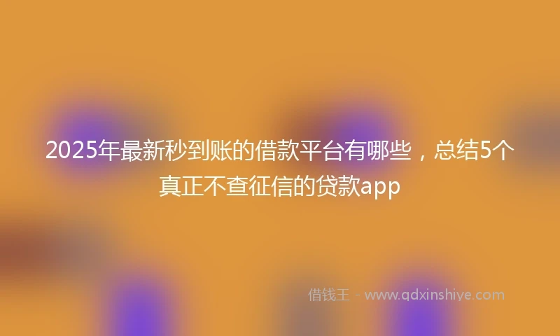 2025年最新秒到账的借款平台有哪些，总结5个真正不查征信的贷款app