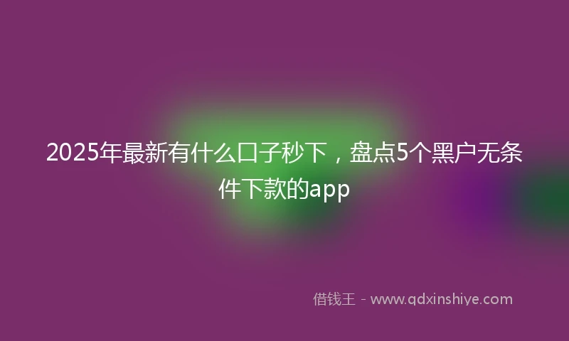 2025年最新有什么口子秒下，盘点5个黑户无条件下款的app