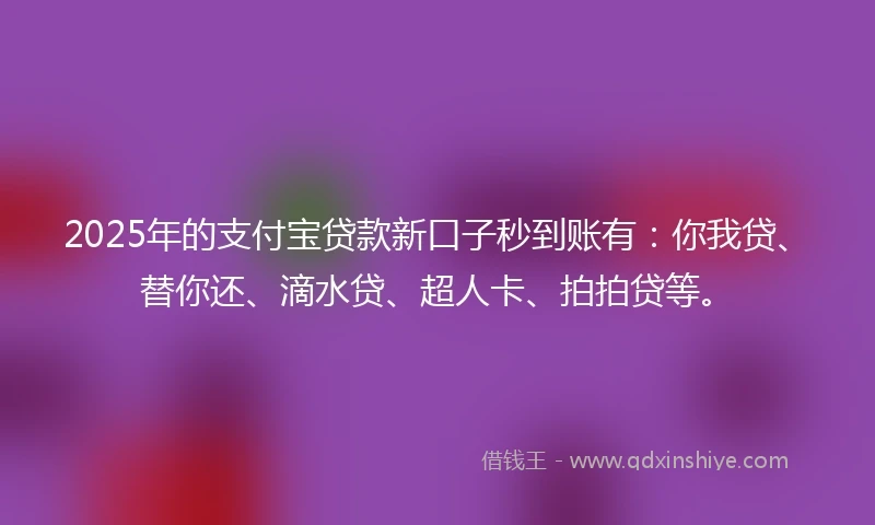 2025年的支付宝贷款新口子秒到账有：你我贷、替你还、滴水贷、超人卡、拍拍贷等。
