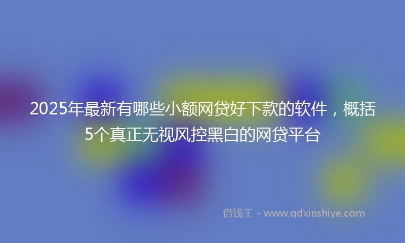 2025年最新有哪些小额网贷好下款的软件，概括5个真正无视风控黑白的网贷平台