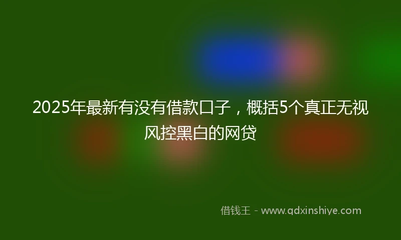 2025年最新有没有借款口子，概括5个真正无视风控黑白的网贷