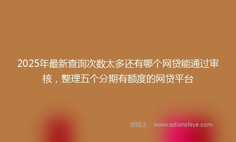 2025年最新查询次数太多还有哪个网贷能通过审核，整理五个分期有额度的网贷平台