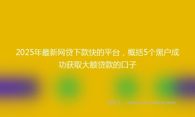 2025年最新网贷下款快的平台，概括5个黑户成功获取大额贷款的口子