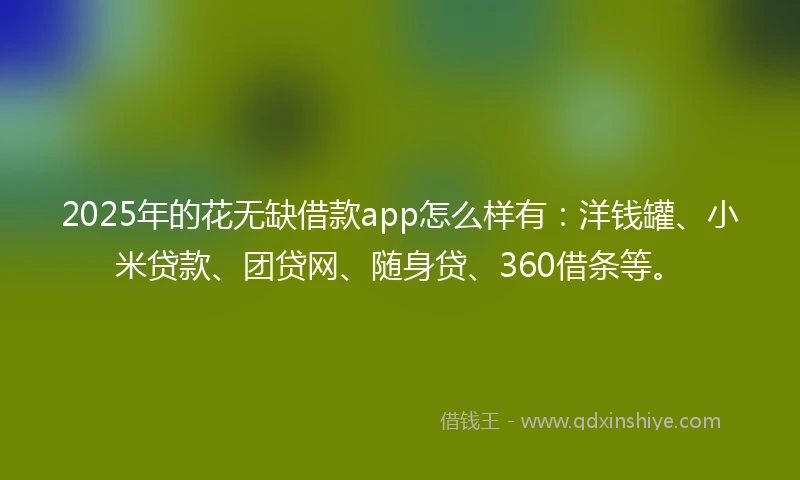 2025年的花无缺借款app怎么样有:洋钱罐、小米贷款、团贷网、随身贷、360借条等。