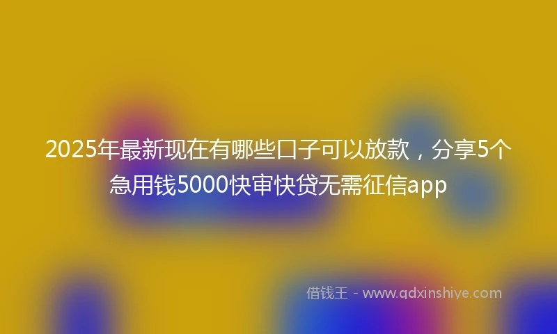 2025年最新现在有哪些口子可以放款，分享5个急用钱5000快审快贷无需征信app