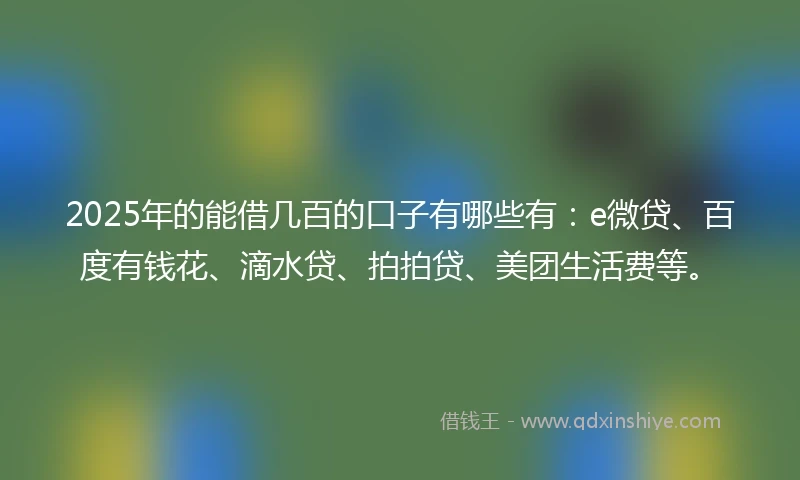 2025年的能借几百的口子有哪些有：e微贷、百度有钱花、滴水贷、拍拍贷、美团生活费等。