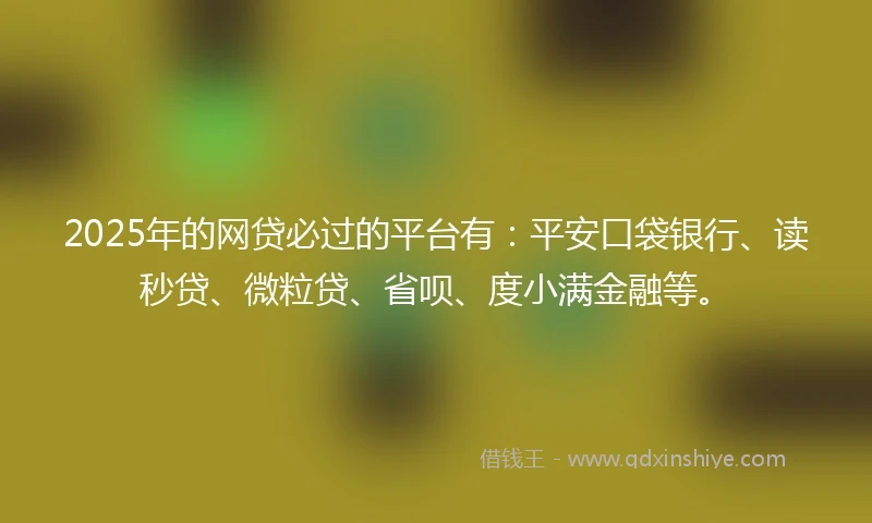 2025年的网贷必过的平台有：平安口袋银行、读秒贷、微粒贷、省呗、度小满金融等。
