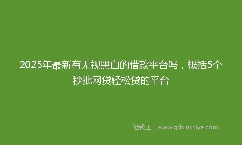 2025年最新有无视黑白的借款平台吗，概括5个秒批网贷轻松贷的平台