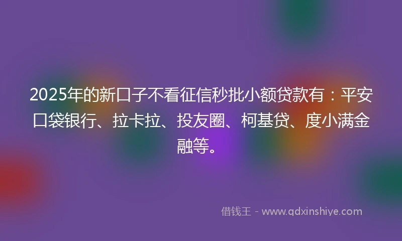2025年的新口子不看征信秒批小额贷款有：平安口袋银行、拉卡拉、投友圈、柯基贷、度小满金融等。