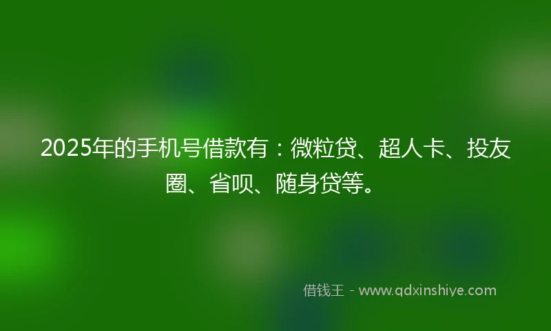 2025年的手机号借款有：微粒贷、超人卡、投友圈、省呗、随身贷等。