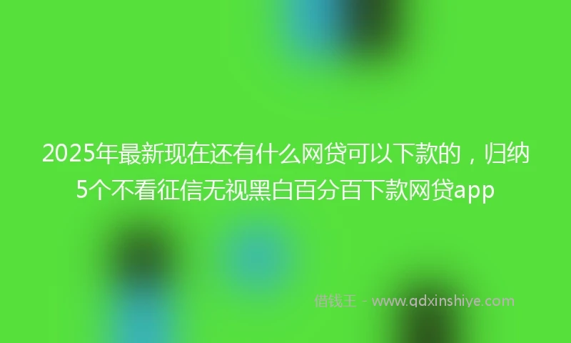 2025年最新现在还有什么网贷可以下款的，归纳5个不看征信无视黑白百分百下款网贷app