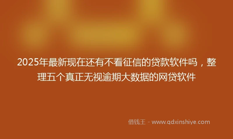 2025年最新现在还有不看征信的贷款软件吗，整理五个真正无视逾期大数据的网贷软件