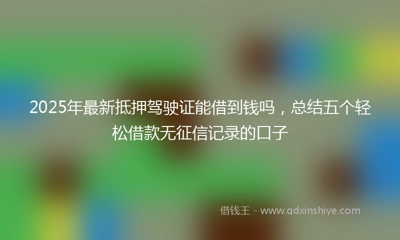 2025年最新抵押驾驶证能借到钱吗，总结五个轻松借款无征信记录的口子
