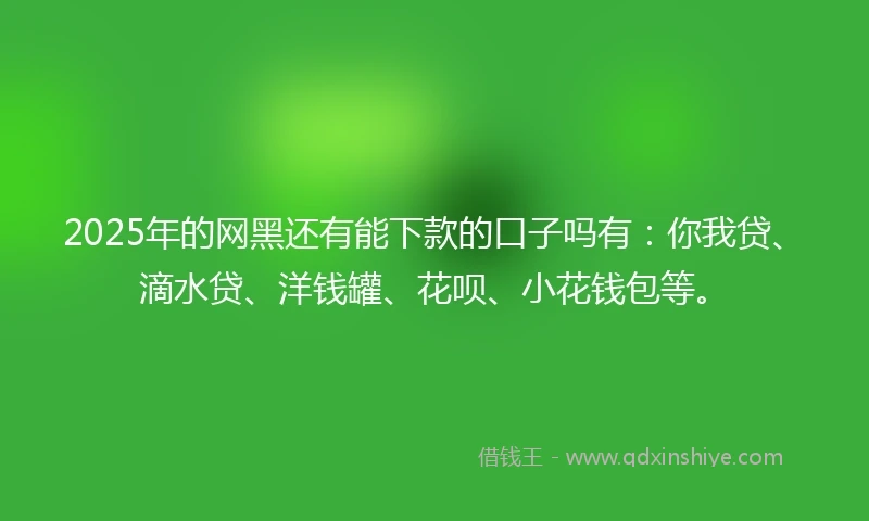 2025年的网黑还有能下款的口子吗有：你我贷、滴水贷、洋钱罐、花呗、小花钱包等。