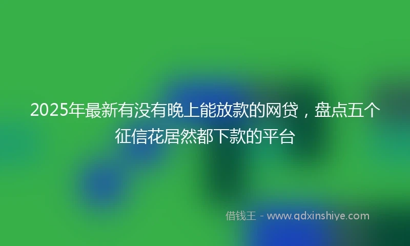 2025年最新有没有晚上能放款的网贷，盘点五个征信花居然都下款的平台
