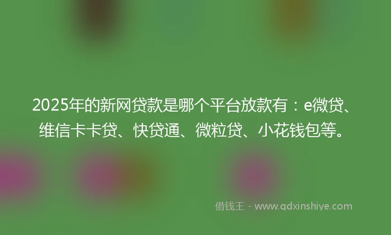 2025年的新网贷款是哪个平台放款有：e微贷、维信卡卡贷、快贷通、微粒贷、小花钱包等。