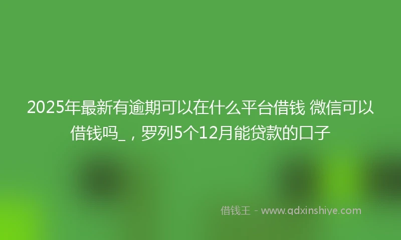 2025年最新有逾期可以在什么平台借钱 微信可以借钱吗_，罗列5个12月能贷款的口子