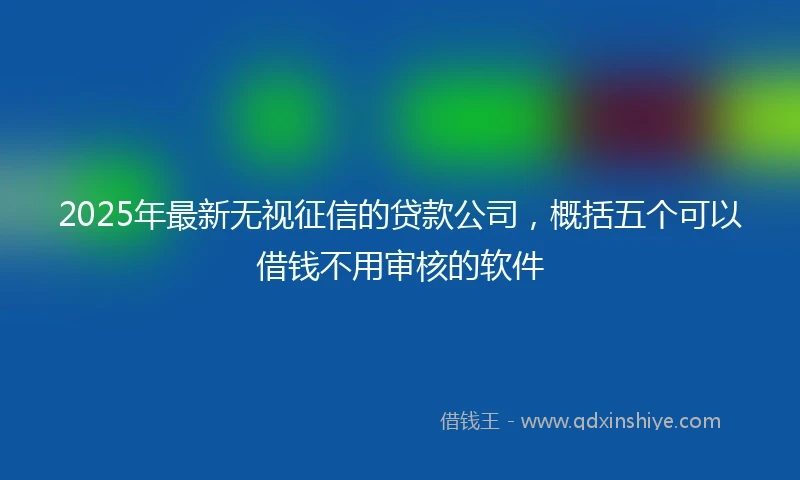 2025年最新无视征信的贷款公司，概括五个可以借钱不用审核的软件