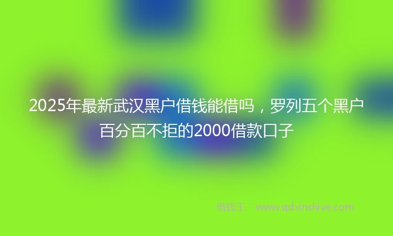 2025年最新武汉黑户借钱能借吗，罗列五个黑户百分百不拒的2000借款口子